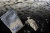 Fentanyl image 320x213